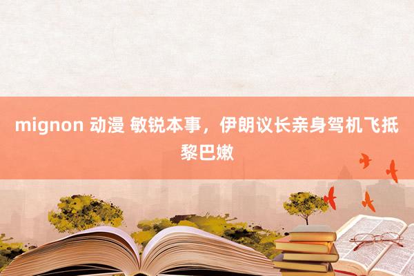 mignon 动漫 敏锐本事，伊朗议长亲身驾机飞抵黎巴嫩