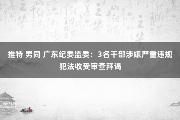 推特 男同 广东纪委监委：3名干部涉嫌严重违规犯法收受审查拜谒