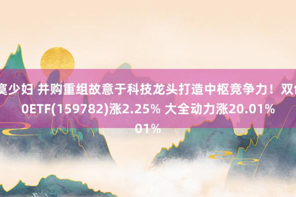 寂寞少妇 并购重组故意于科技龙头打造中枢竞争力！双创50ETF(159782)涨2.25% 大全动力涨20.01%