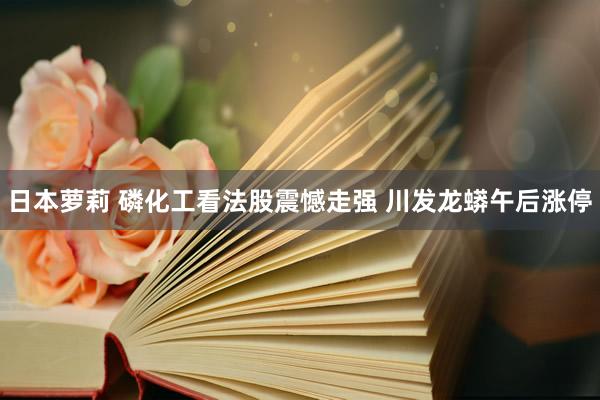 日本萝莉 磷化工看法股震憾走强 川发龙蟒午后涨停