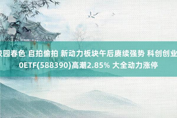 校园春色 自拍偷拍 新动力板块午后赓续强势 科创创业50ETF(588390)高潮2.85% 大全动力涨停
