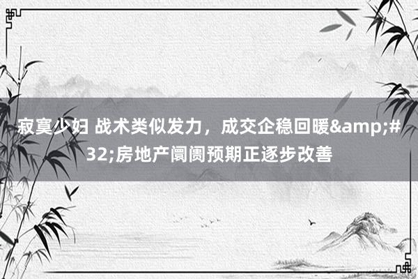 寂寞少妇 战术类似发力，成交企稳回暖&#32;房地产阛阓预期正逐步改善