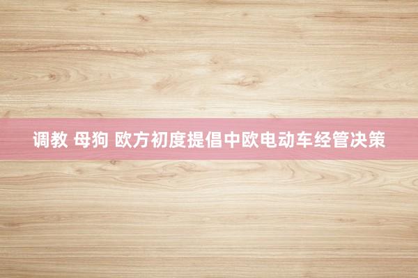 调教 母狗 欧方初度提倡中欧电动车经管决策