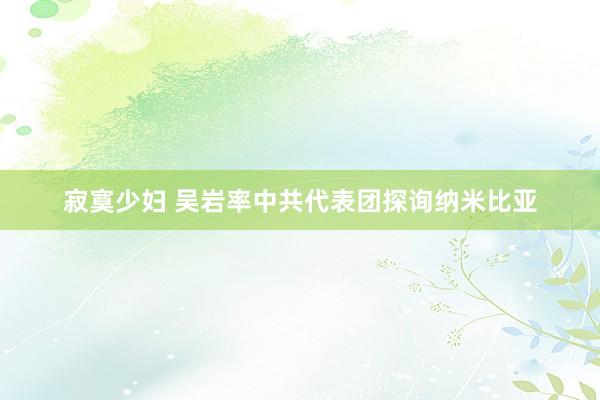 寂寞少妇 吴岩率中共代表团探询纳米比亚