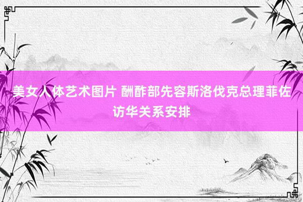 美女人体艺术图片 酬酢部先容斯洛伐克总理菲佐访华关系安排
