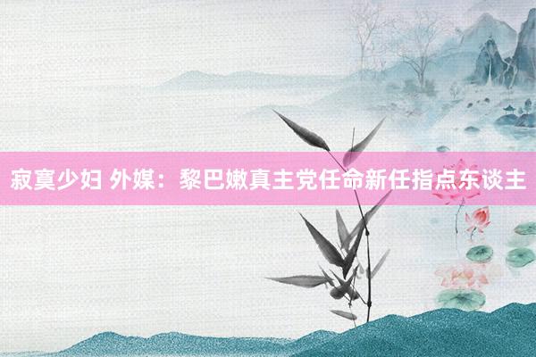 寂寞少妇 外媒：黎巴嫩真主党任命新任指点东谈主