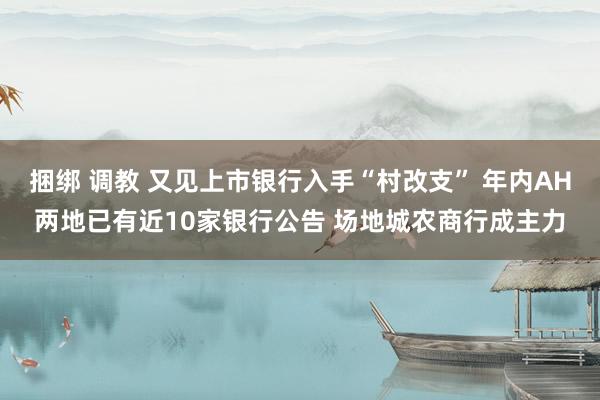 捆绑 调教 又见上市银行入手“村改支” 年内AH两地已有近10家银行公告 场地城农商行成主力