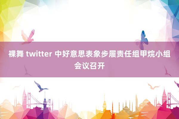 裸舞 twitter 中好意思表象步履责任组甲烷小组会议召开