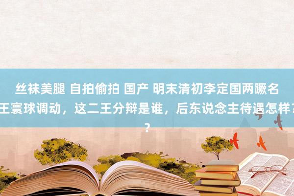 丝袜美腿 自拍偷拍 国产 明末清初李定国两蹶名王寰球调动，这二王分辩是谁，后东说念主待遇怎样？