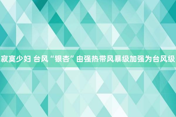 寂寞少妇 台风“银杏”由强热带风暴级加强为台风级
