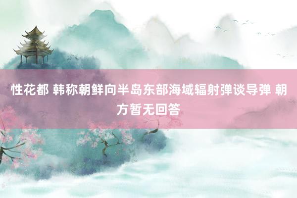 性花都 韩称朝鲜向半岛东部海域辐射弹谈导弹 朝方暂无回答