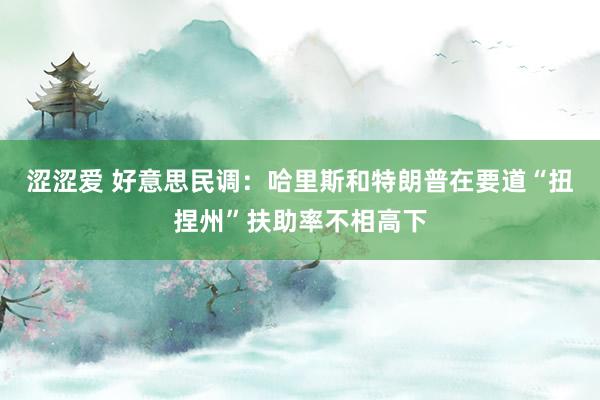 涩涩爱 好意思民调：哈里斯和特朗普在要道“扭捏州”扶助率不相高下