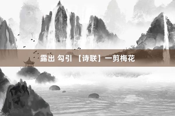 露出 勾引 【诗联】一剪梅花