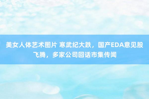 美女人体艺术图片 寒武纪大跌，国产EDA意见股飞腾，多家公司回话市集传闻