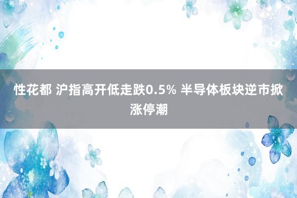 性花都 沪指高开低走跌0.5% 半导体板块逆市掀涨停潮