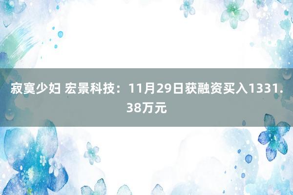 寂寞少妇 宏景科技：11月29日获融资买入1331.38万元