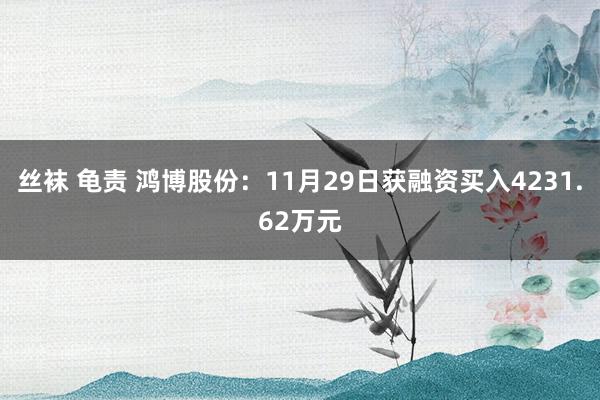 丝袜 龟责 鸿博股份：11月29日获融资买入4231.62万元