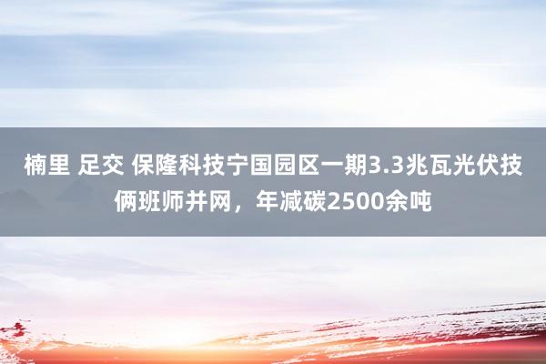 楠里 足交 保隆科技宁国园区一期3.3兆瓦光伏技俩班师并网，年减碳2500余吨