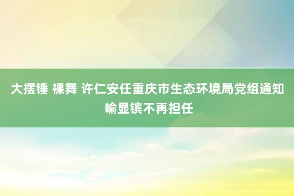 大摆锤 裸舞 许仁安任重庆市生态环境局党组通知 喻显镔不再担任