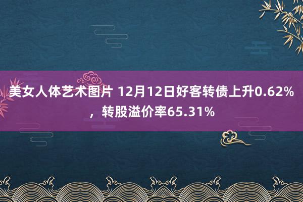 美女人体艺术图片 12月12日好客转债上升0.62%，转股溢价率65.31%