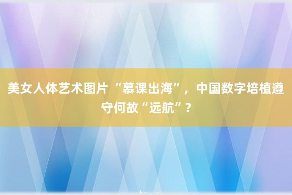 美女人体艺术图片 “慕课出海”，中国数字培植遵守何故“远航”？