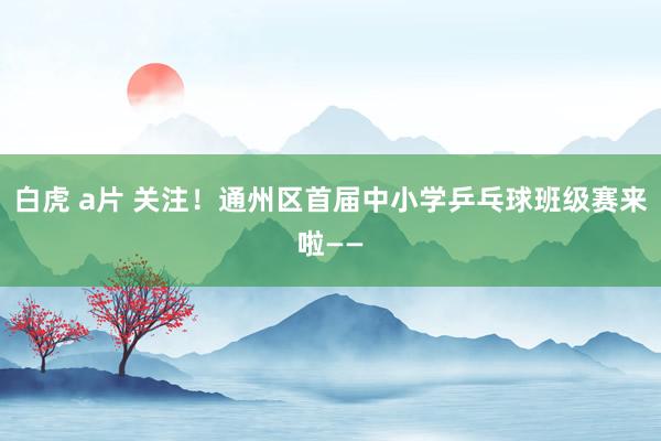 白虎 a片 关注！通州区首届中小学乒乓球班级赛来啦——