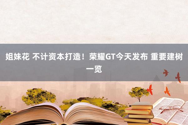 姐妹花 不计资本打造！荣耀GT今天发布 重要建树一览