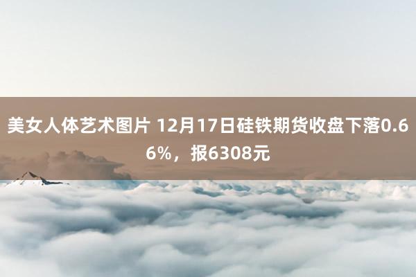 美女人体艺术图片 12月17日硅铁期货收盘下落0.66%，报6308元