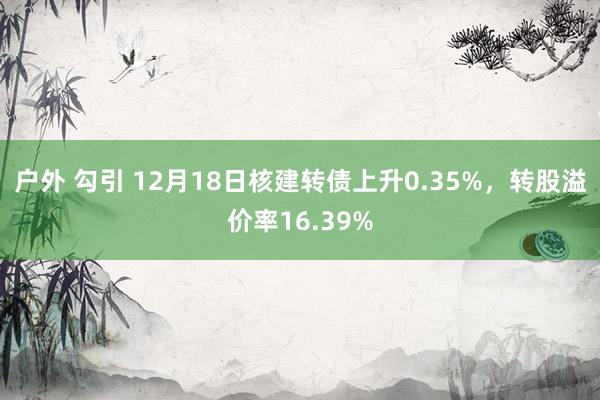 户外 勾引 12月18日核建转债上升0.35%，转股溢价率16.39%