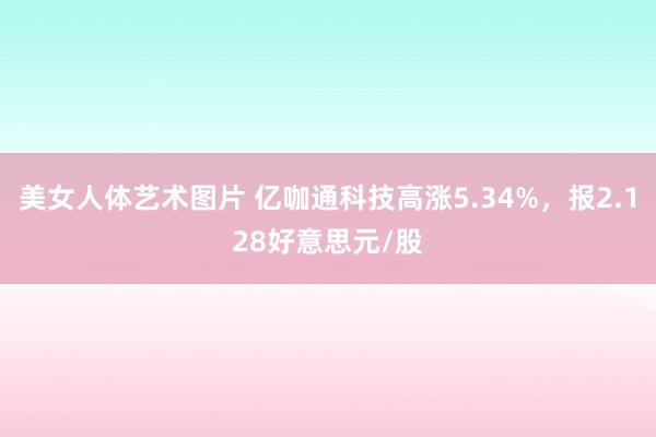 美女人体艺术图片 亿咖通科技高涨5.34%，报2.128好意思元/股