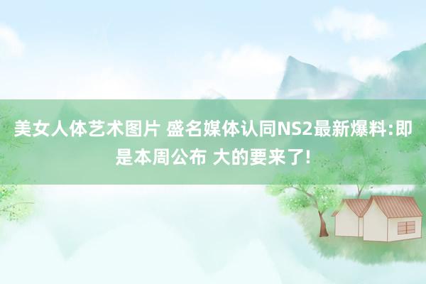 美女人体艺术图片 盛名媒体认同NS2最新爆料:即是本周公布 大的要来了!