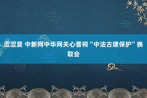 涩涩爱 中新网中华网关心晋祠“中法古建保护”换取会
