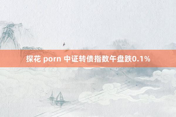 探花 porn 中证转债指数午盘跌0.1%